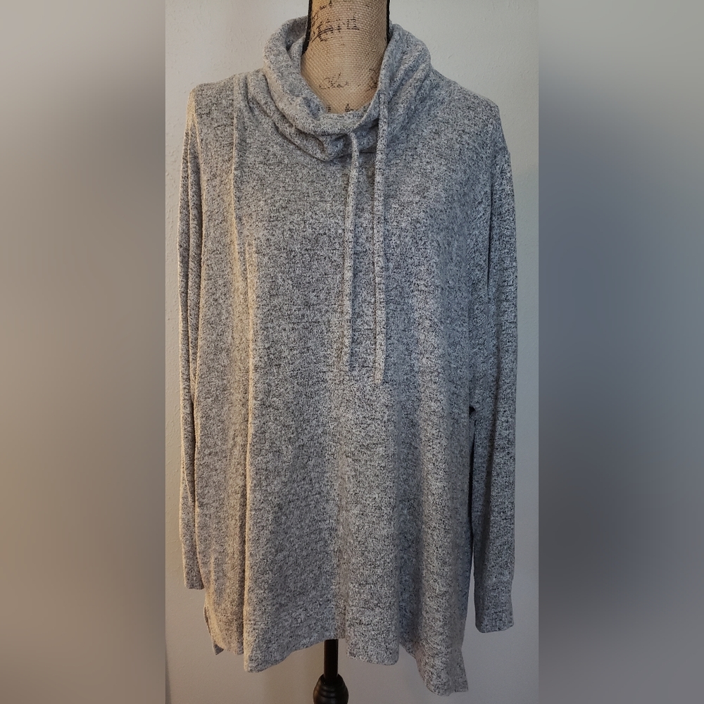 Colortree Tunic with Cowl Neck